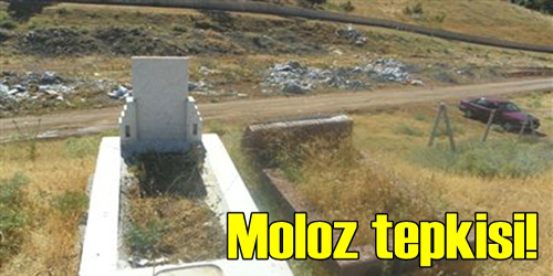 Tepki Gösterildi