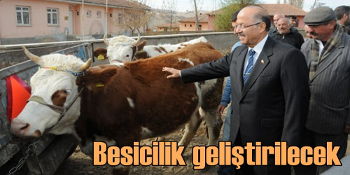 Üretim Geliştirilecek