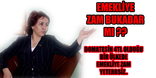 60 LİRA ZAM YETERLİ DEĞİL