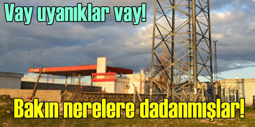İstasyon fareleri yakalandı