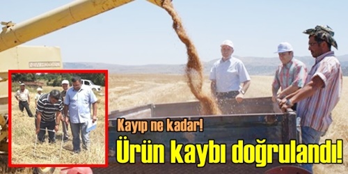 %30-40 ürün kaybı bekliyoruz