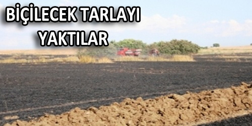 Anız Yakayım Derken