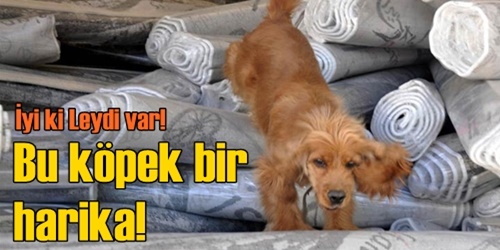 Leydi bu işi biliyor!