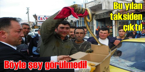 Taksiden Yılan Çıktı!