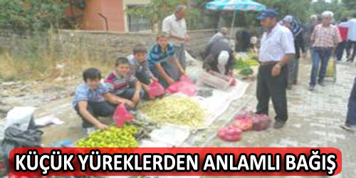 Küçük Yüreklerden Anlamlı Bağış