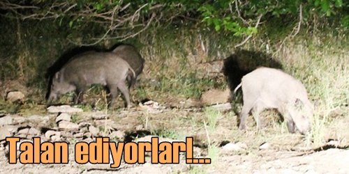 Vatandaşı Perişan Ettiler