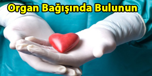 Organ Bağışı Kampanyası