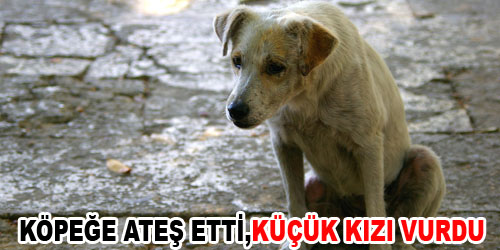 Küçük Kıza Saçma İsabet Etti