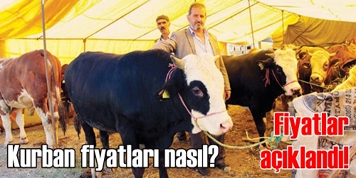 Kurban fiyatları açıklandı