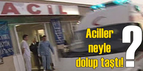 NE İÇİN GELİYORLAR?