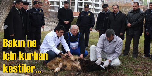 Kazasız Bir Yıl İçin Kurban Kestiler