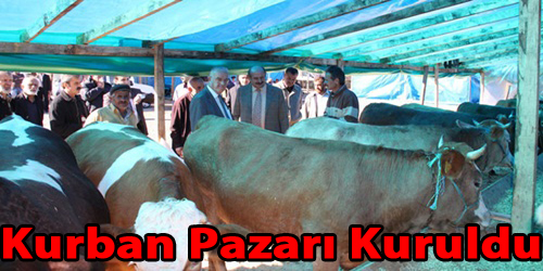 Kırın Kırana Pazarlık