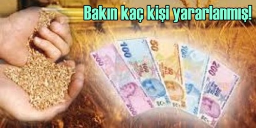 Sadece yedi yatırımcı destek aldı