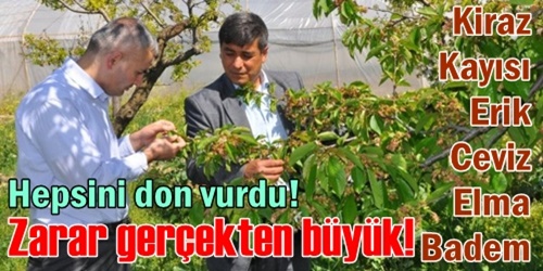 Zarar gerçekten çok büyük!