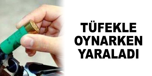 Havalı Tüfekle Arkadaşını Vurdu