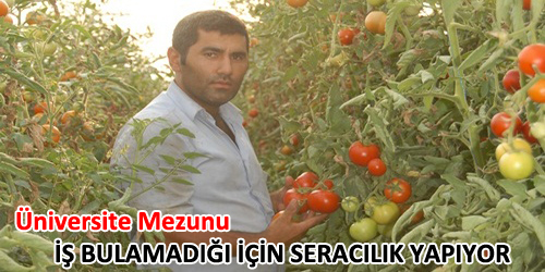 Seracılık Yapıyor
