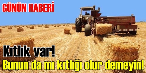 Saman kıtlığı başladı