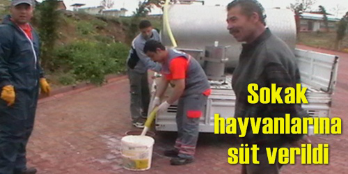 Sütle Beslediler