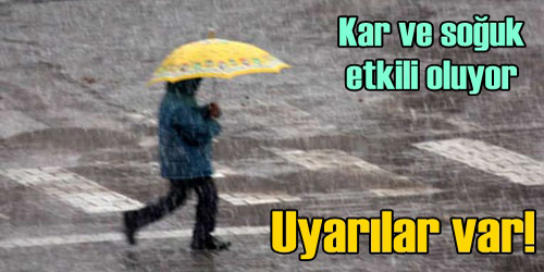 Önleminizi Alın