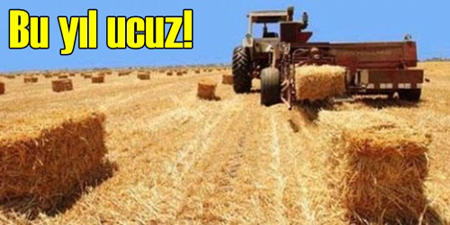 Saman Bu Yıl Para Etmiyor!