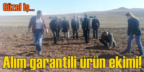 Aspir Yetiştirecekler