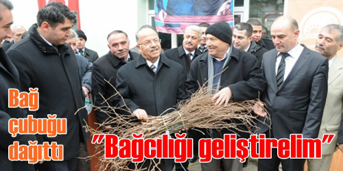 Bağcılık Gelişmeli