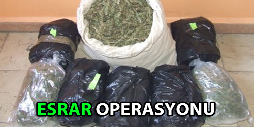 Büyük Balık Yakalandı