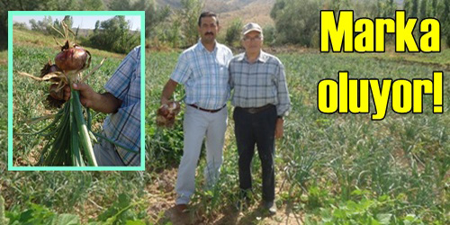 Kırıkkale Markası Oluyor