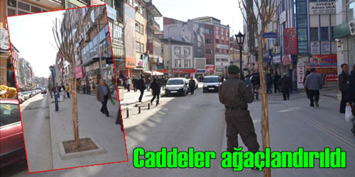 Cadde Ağaçlandırıldı