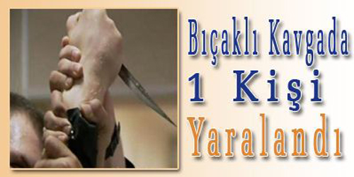 Bu Yaşta Kanlı Kavga