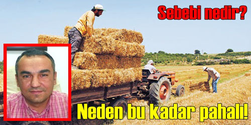 Saman fiyatı neden artıyor?