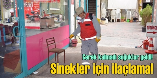 Karasinek ile mücadeleye devam