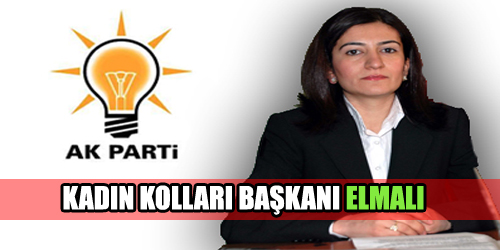 AKP KADIN KOLLARI BAŞKANI ATANDI 