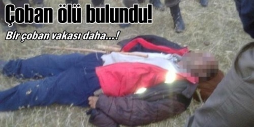 Bir çoban vakası daha!