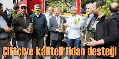 Ceviz fidanı dağıtıldı