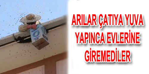 Evlerine Giremediler