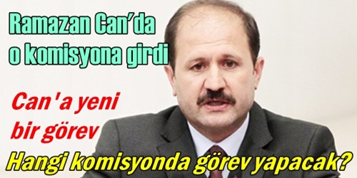 Can İstihbarat
