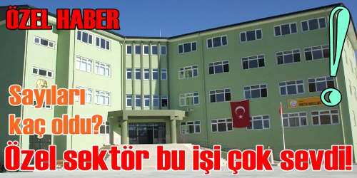 Özel Sektör Bu İşi Çok Sevdi!