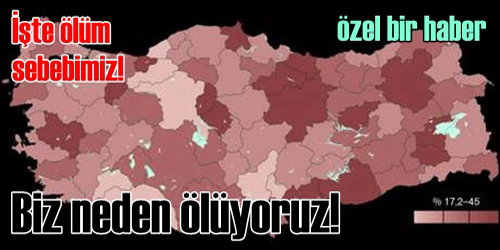 Biz Neden Ölüyoruz!