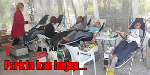 Kan Bağışı Kampanyası