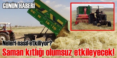 Saman kıymete bindi