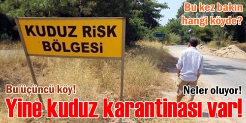 Yine kuduz karantinası