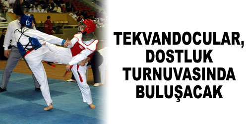 Tekvandoculardan Dostluk Turnuvası