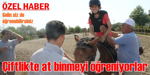 At Binmeyi Öğreniyorlar