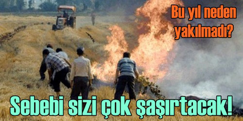 NEDEN ANIZ YAKILMADI!