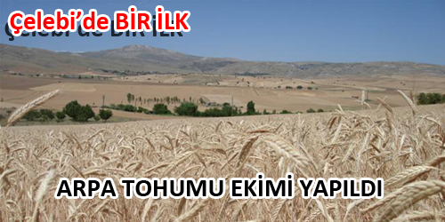 TİLKİLİ KÖYÜNDE ARPA TOHUMU EKİMİ