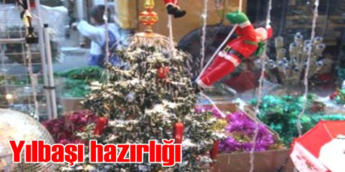 Fazla Bir Canlılık Yok