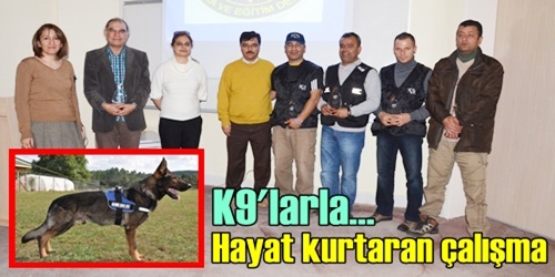 İnsan kurtaran köpekler