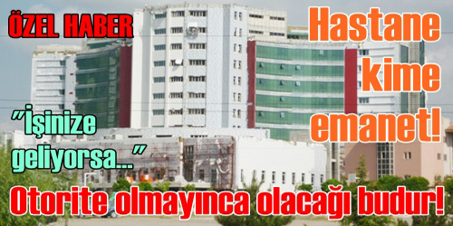 Otorite Olmayınca Olacağı Budur!