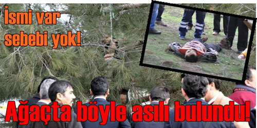 Çam Ağacına Asılı  Vaziyette Bulundu